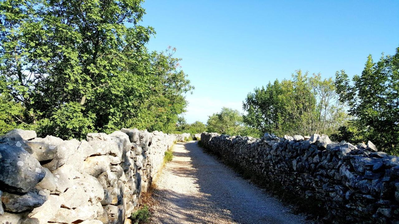 Village House Fafarinka - Close To Krka National Park Konjevrate Bagian luar foto